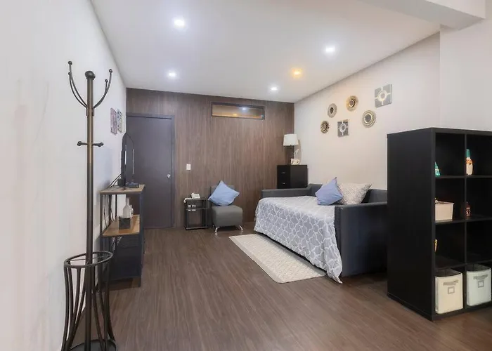 301 Historic Building 1bdrm 1bath Ac Rooftop Apartment *