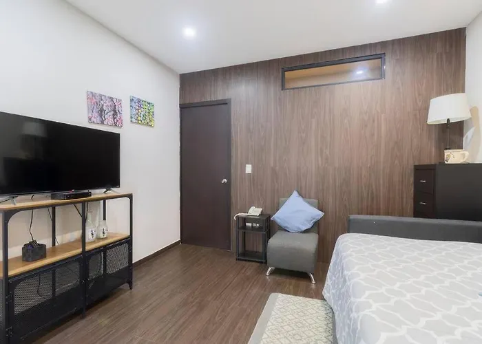 301 Historic Building 1bdrm 1bath Ac Rooftop Apartment